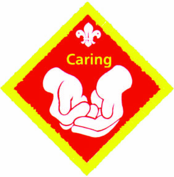 Cub Badges